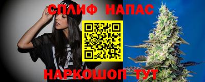 МДПВ Пугачёв