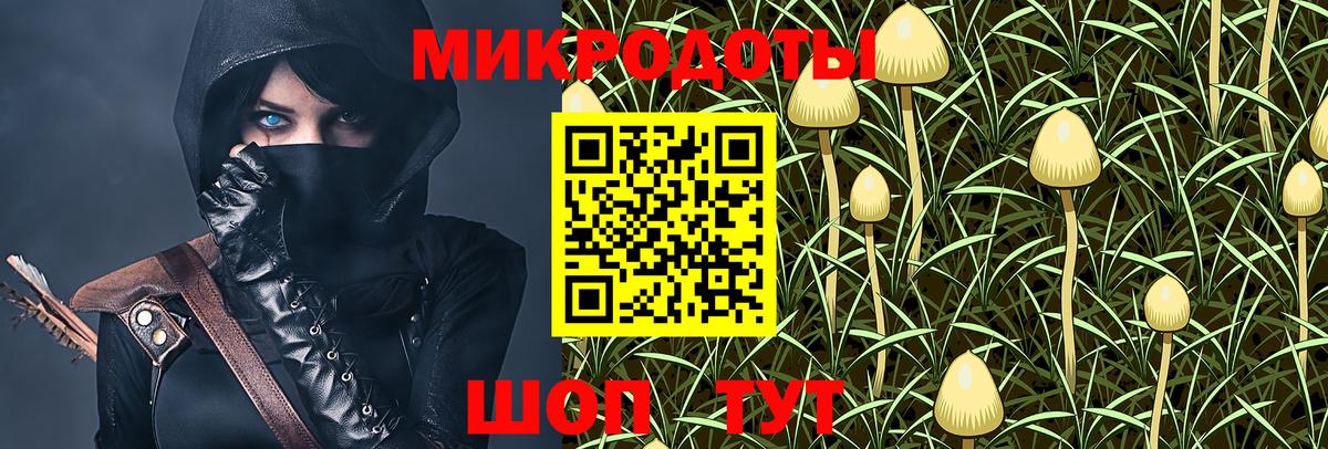 Сокол  Псилоцибиновые грибы Psilocybine cubensis  закладка  Галлюциногенные грибы прущие грибы  Вход с VPN 